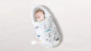 Cocoon Baby Swaddles in the Philippines