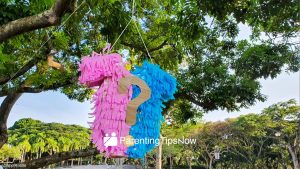 Pinata Smash Gender Reveal Games