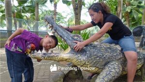 Family Travel to Davao Crocodile Park and Philippine Eagle Center