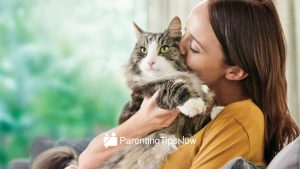 Fur Parenting Tip 6 Choosing the right pet for your family