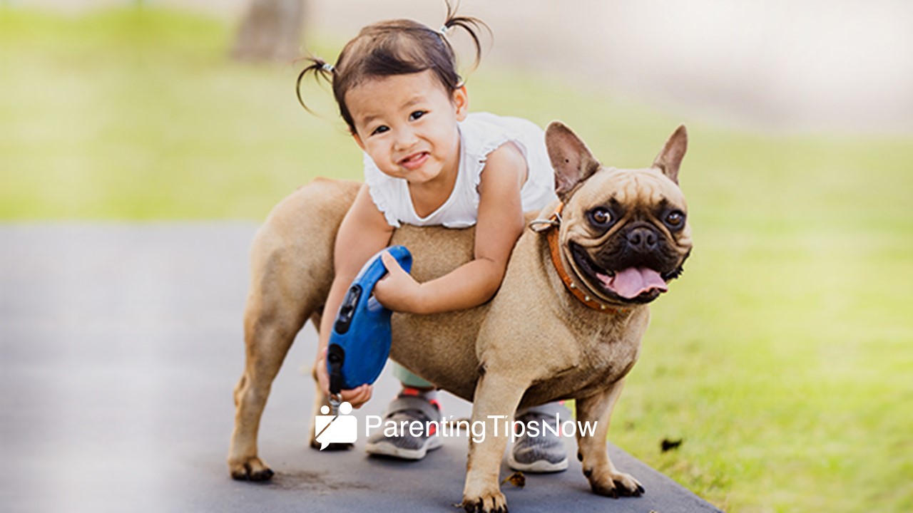 8 Fur Parenting Tips Every Filipino Pet Owner Needs to Know!