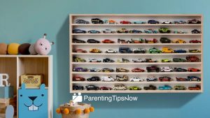 Wall-mounted Toy Organizers in the Philippines